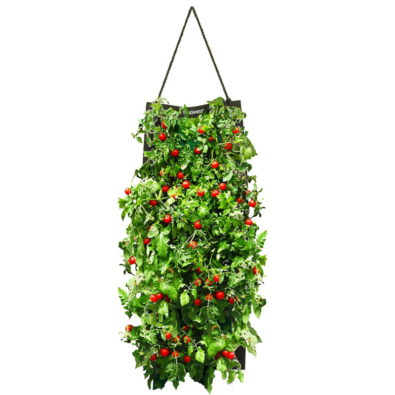Touch of ECO Organic Hanging Cherry Tomato Growing Kit & Reviews Wayfair